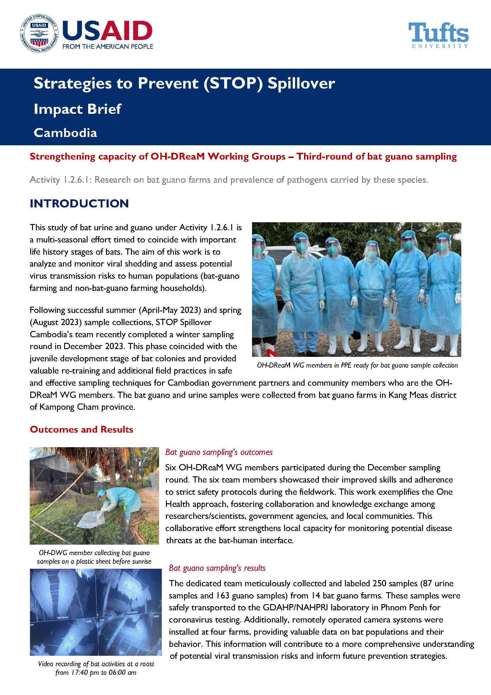 Thumbnail of the impact brief.